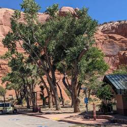 Unterwegs nach Süden kurz nach Moab "Whole in the Rock"