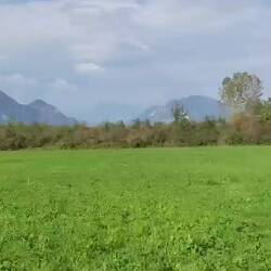 Hier wird nicht nur auf Schotter gefahren 🤣