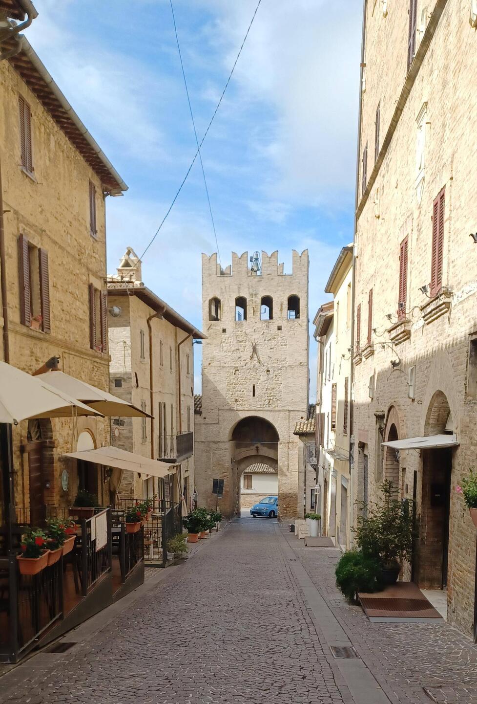 Riesige Weinberge in Montefalco