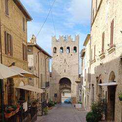 Riesige Weinberge in Montefalco