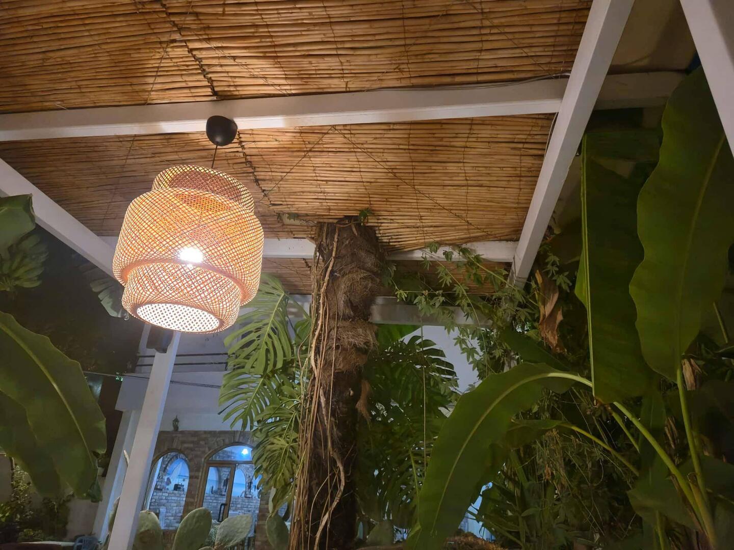 Tolles Ambiente inmitten von Bananen. Essen und Service eher ungewöhnlich😅