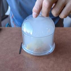 Gruß aus der Küche: Räucherforelle