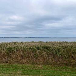 Und Walter, äh Wasser (sorry Insider).