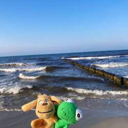 Ach ja, und Mini und Max sind natürlich auch wieder dabei.