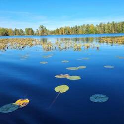 Der kleine See begeistert auch.