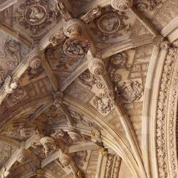 Cathedral ceiling