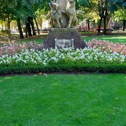 St Francis Park