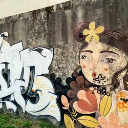 Vigo se buitewyke