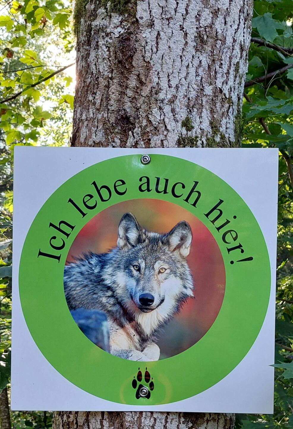 Das war in Österreich!