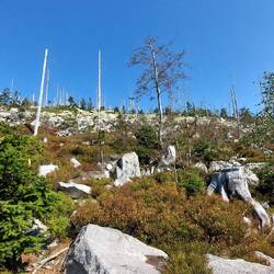 Das Leben kehrt langsam zurück!