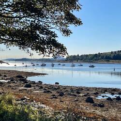 Some views on the way back to Fort William