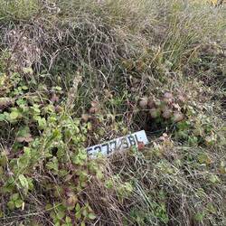 Wir waren nicht die ersten hier mit Problemen