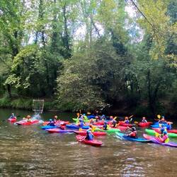 Came across kayakers having good fun.