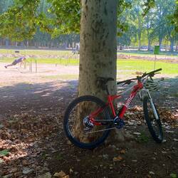 Peter always finds a work out station