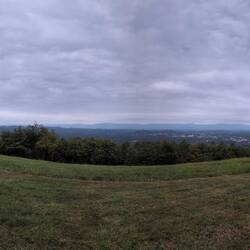 She's everywhere taking pictures