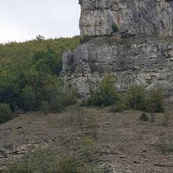Die Spinnen ja, die Bulgaren.