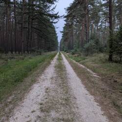 Straight for miles