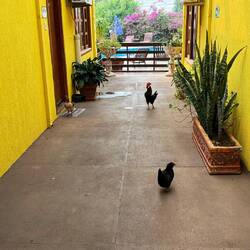 Hier gilt ein strenges Grillverbot