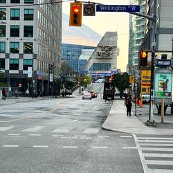 Home of the Toronto Blue Jays. Ein Steinwurf entfernt vom Hotel