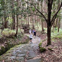 Some lovely stone paths through forests