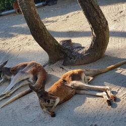 Das würden wir jetzt auch gerne