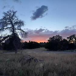 Mein Campsite zwischen Quemado und Springerville