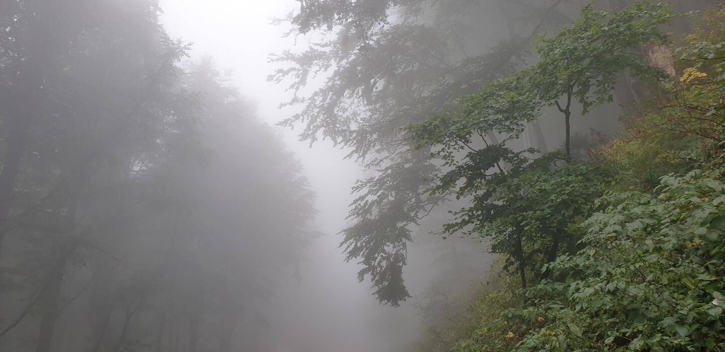 Da hat jemand das Waschhaus offen gelassen😆