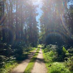 Ach ja, die Wege und die Sonne.