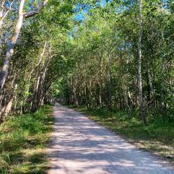 Was soll ich sagen, bezaubernde Wege.