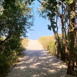 Immer ein schöner Ausblick an der Ostsee.