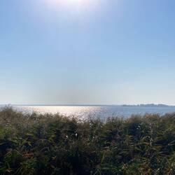 Blick von Born auf den Bodden.