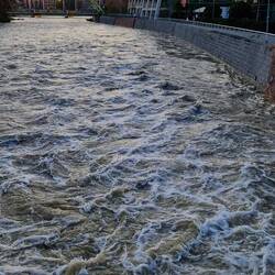 De Oder stroomt in vele aftakkingen door de stad