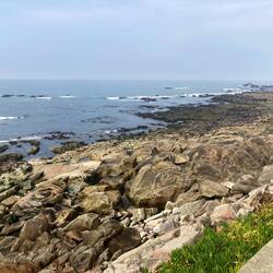 Rocks and waves