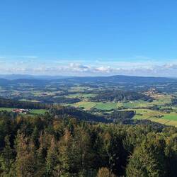 ....und der Blick von oben!