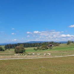 Immer wieder schöne Weitblicke!