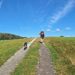 Kurz vor dem Ort Sonnen!