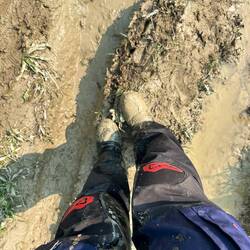 Wer macht das wieder sauber?