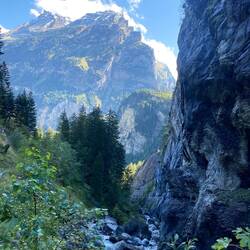 Schöne wägabschnitt am Bach entlang 🏞️
