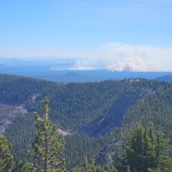 Wildfire