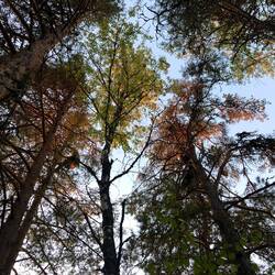 Zoekplaat: zoek Arne en Tim