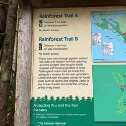 Rainforest Walk A und B