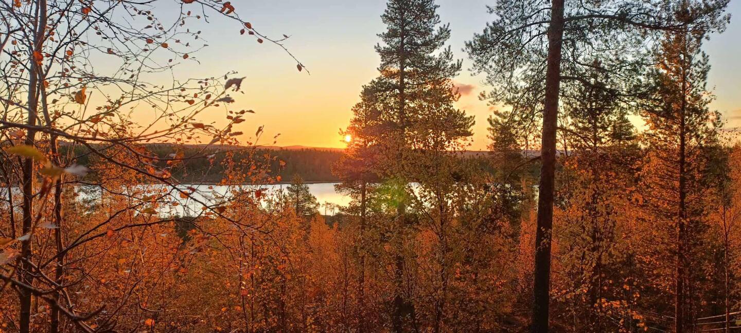 Goldener Herbst