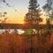 Goldener Herbst