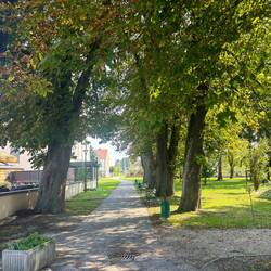 Chestnut trees line the Legrad park