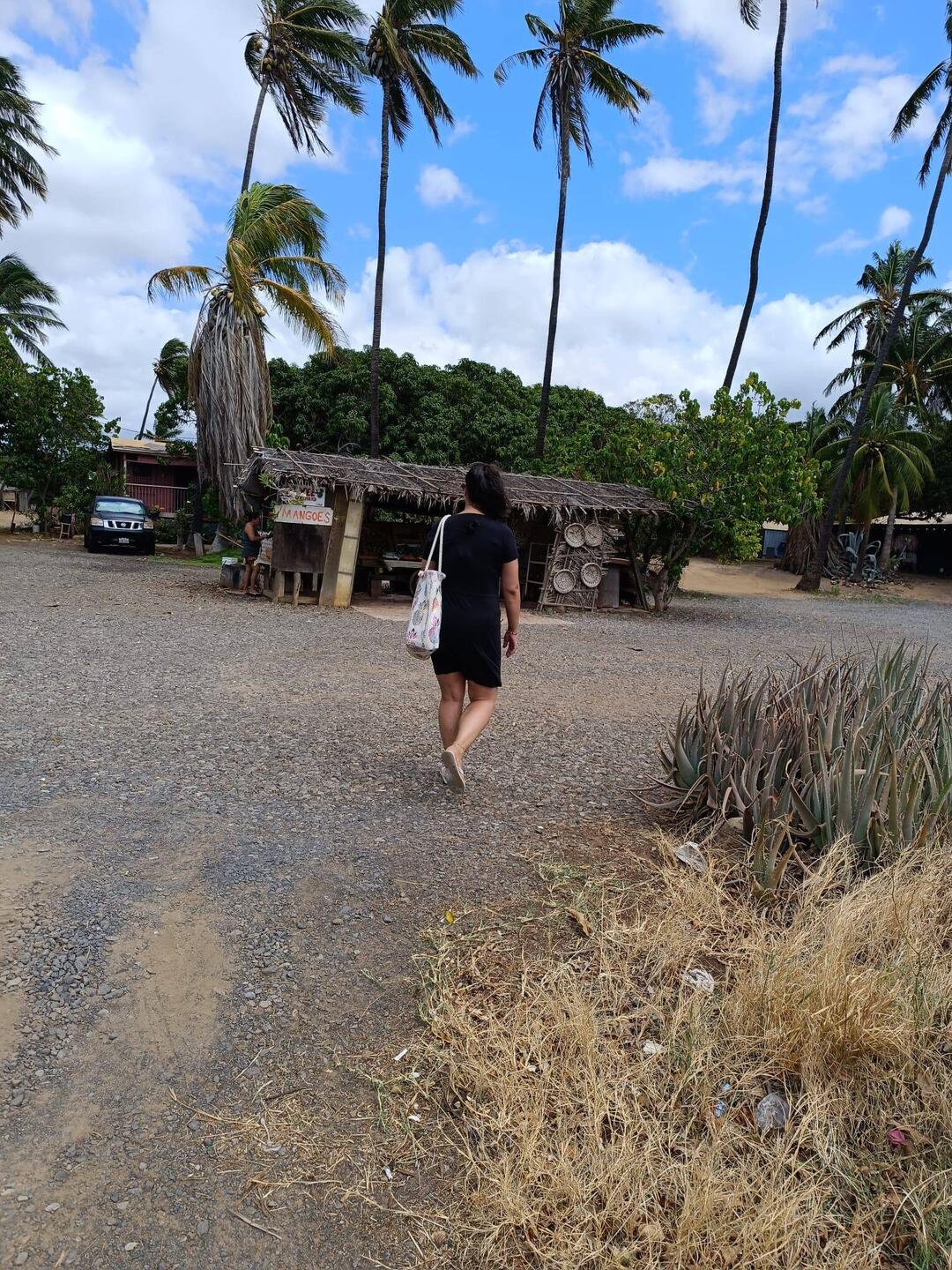 Erstmal Obst geholt...