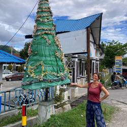 Erster Weihnachtsbaum in diesem Jahr