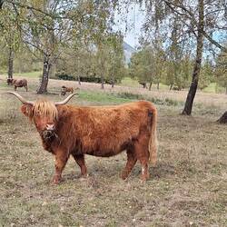 Die haben hier viel Platz