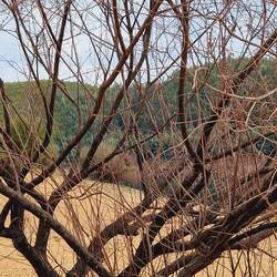 Gebrannt hat es hier auch schon mal...