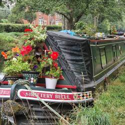Gorgeous flowers on this boat
