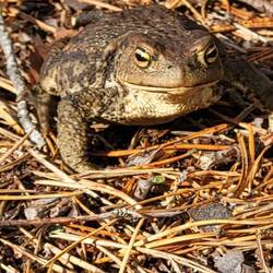 Buchstabe 6 Kästchen 14